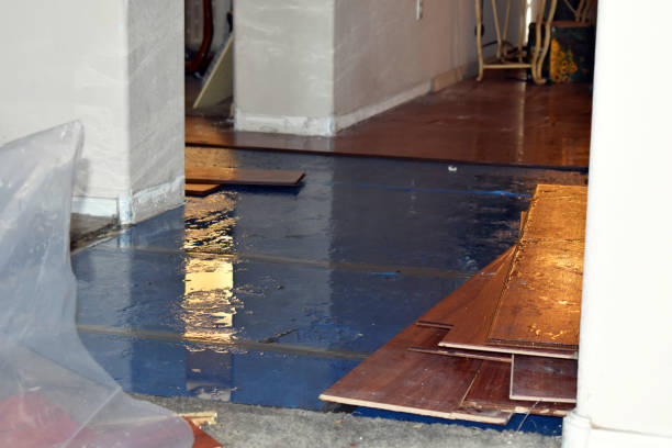 Professional Water Extraction technician working in Bentley, MI